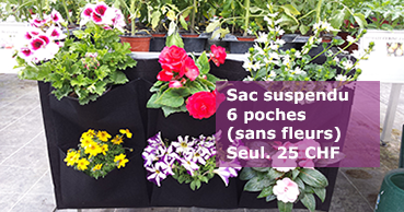 Bacs et terrasses